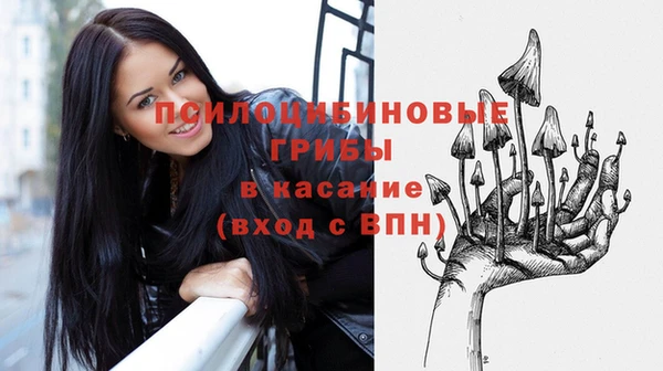 2c-b Алзамай