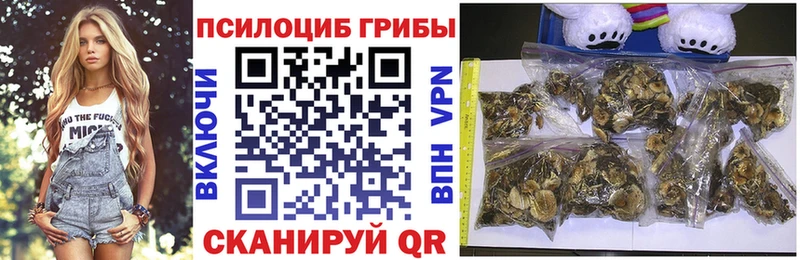 Галлюциногенные грибы GOLDEN TEACHER  где продают наркотики  Коркино 